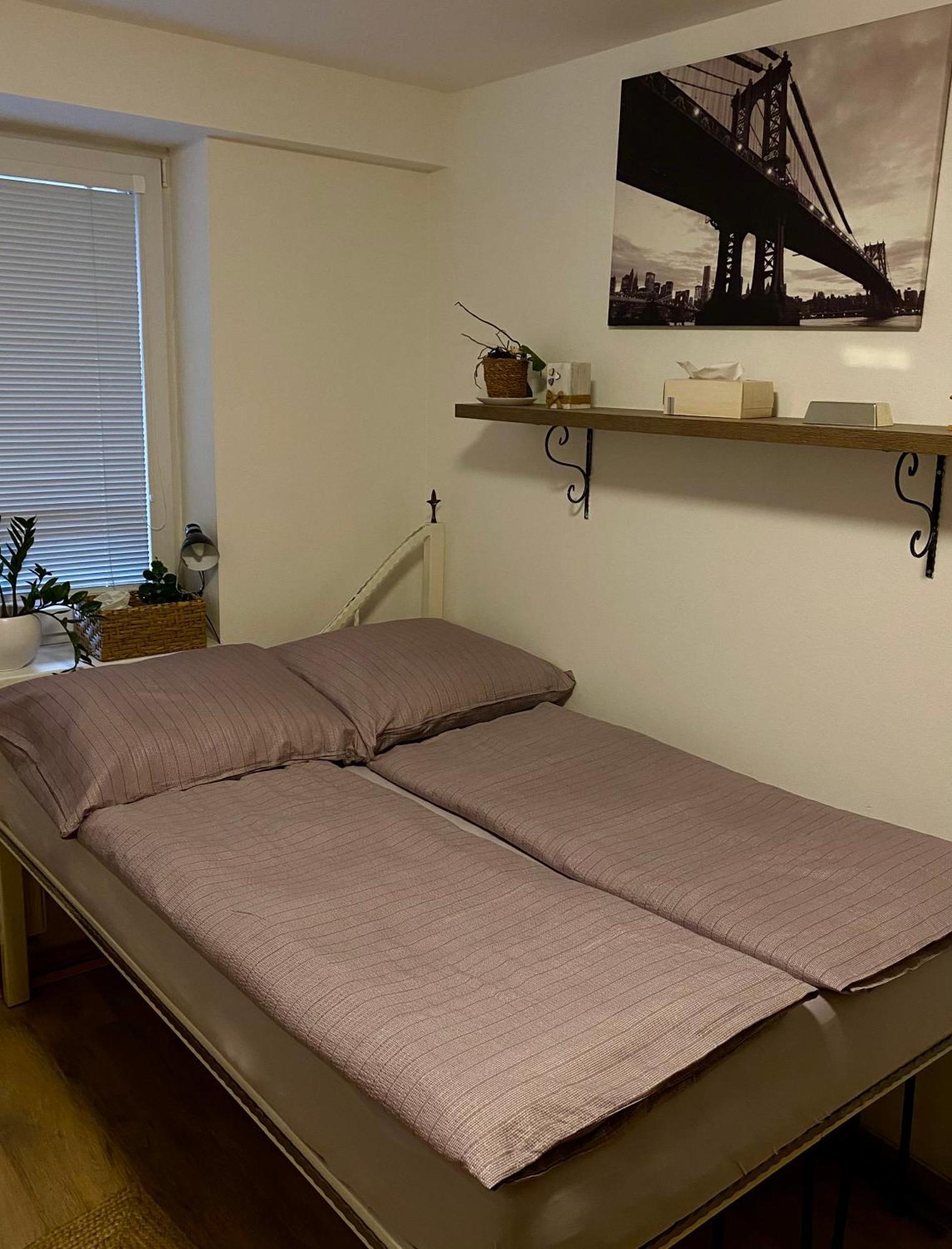 Apartman Slnecna Terasa S Vlastnym Parkovanim Na 2 Auta Apartment Zilina Bagian luar foto